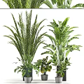 Bonsai Potted Plants With Various Green Leafy Species And Decorative Pots