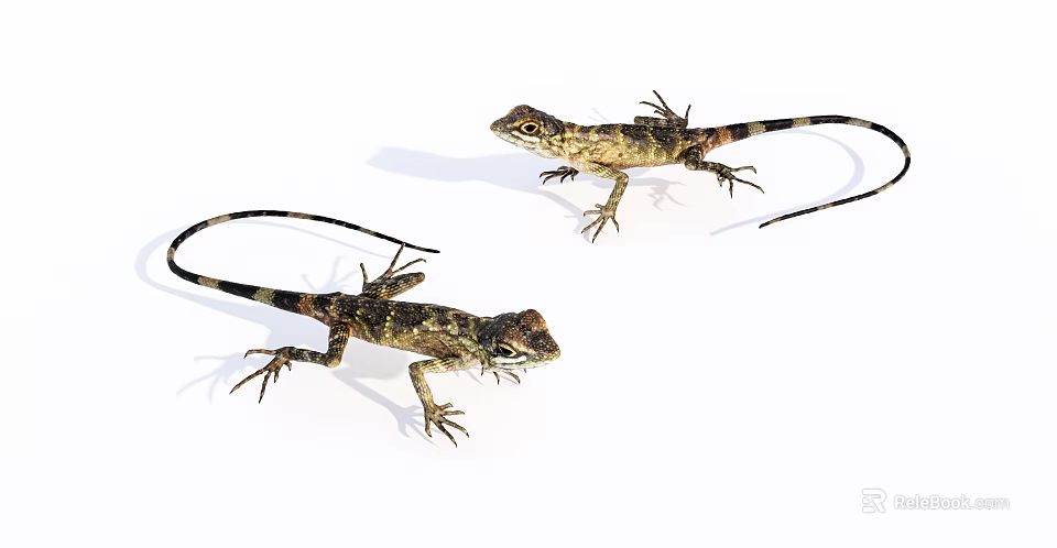 Colorful Tropical Fish Swimming In Vibrant Coral Reef Marine Environment 3d model 