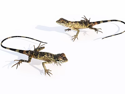 Colorful Tropical Fish Swimming In Vibrant Coral Reef Marine Environment 3d model