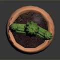 Green Cactus Potted Plant in Orange Clay Pot for Indoor Home Decoration