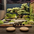 Tranquil Courtyard Garden Featuring Pine Tree Stone Pathway And Tea Set With Cushions On Deck