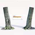 Two Tree Stumps With Carved Marks On Trunks And Tree Roots With Small Stones 3d model