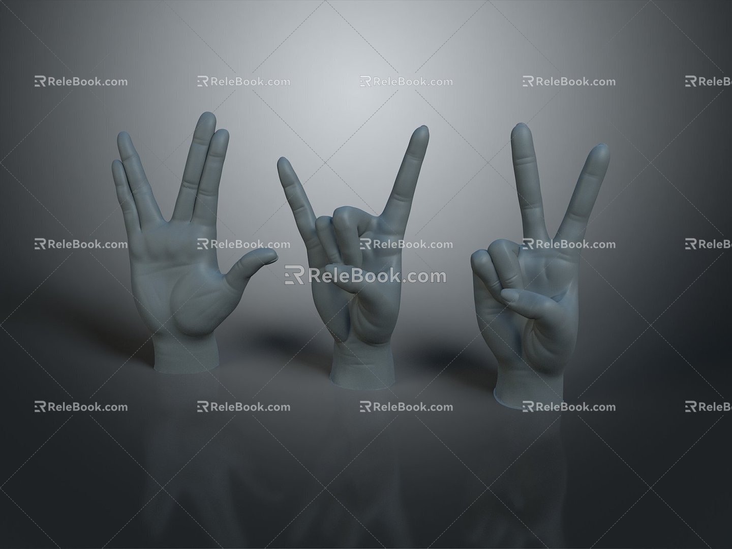 Hand Hand Hand Hand Hand Hand Hand Medical Teaching Aware Medical Supplies Medical Teaching Aware Medical Display 3d model