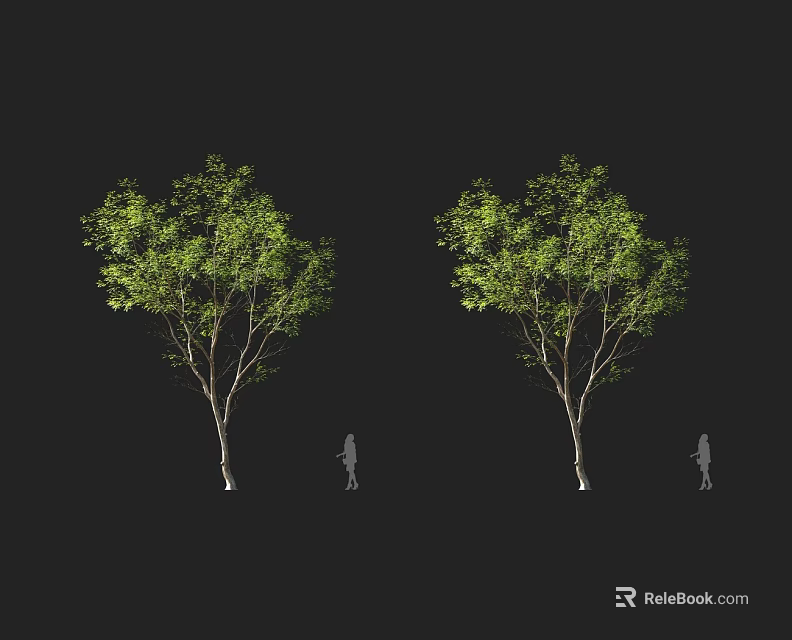 Tall Arbor With Lush Green Foliage And Human Figure For Scale 3d model 