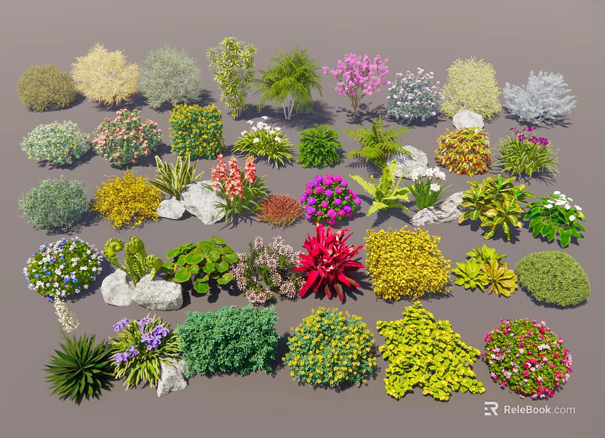 Diverse Garden Shrubs Collection Featuring Various Types Colorful Foliage with Decorative Stones 3d model 