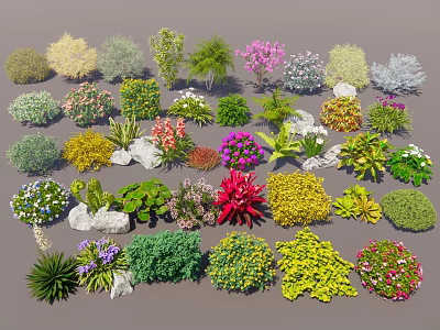 Diverse Garden Shrubs Collection Featuring Various Types Colorful Foliage with Decorative Stones 3d model