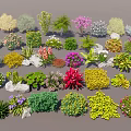 Diverse Garden Shrubs Collection Featuring Various Types Colorful Foliage with Decorative Stones