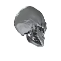 Detailed Silver Human Skull 3D Model With Realistic Surface Texture 3d model