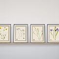 Framed Botanical Prints With Various Plant Species Displayed On Light Wall