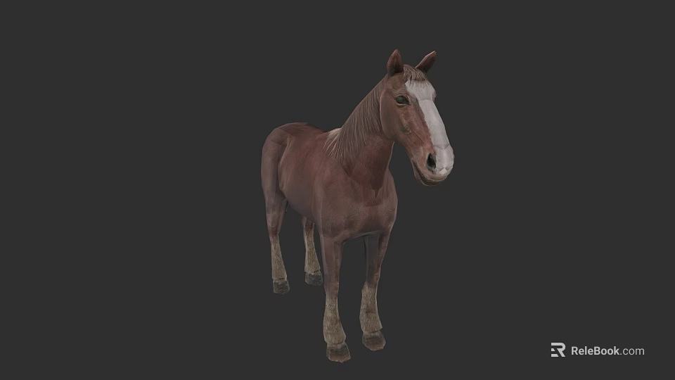 Detailed Brown Horse With White Face Standing On Dark Background 3d model 