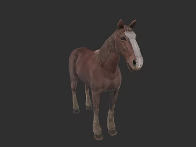 Detailed Brown Horse With White Face Standing On Dark Background 3d model