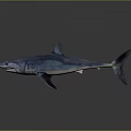 Realistic Blue Shark 3D Model With Sharp Teeth And Gray Gradient Background