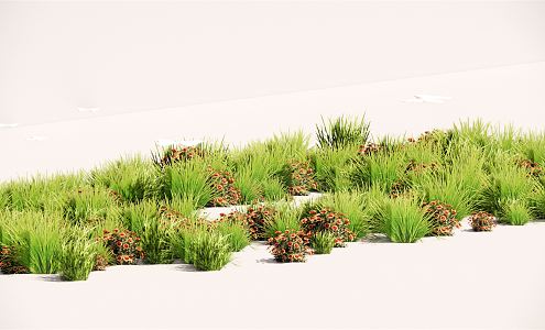 modern shrub flower border plant cluster 3d model