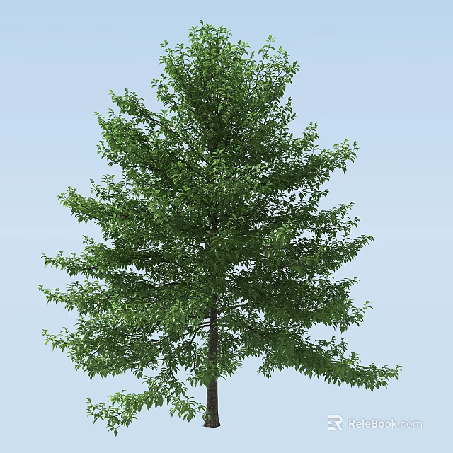 Lush Green Arbor With Dense Canopy And Tall Trunk Under Clear Blue Sky 3d model 