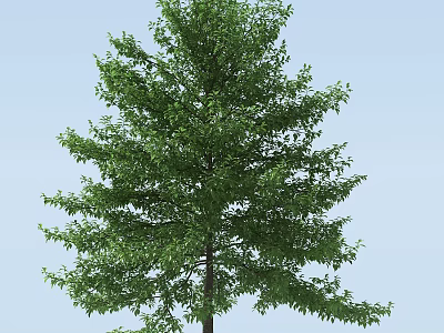 Lush Green Arbor With Dense Canopy And Tall Trunk Under Clear Blue Sky 3d model