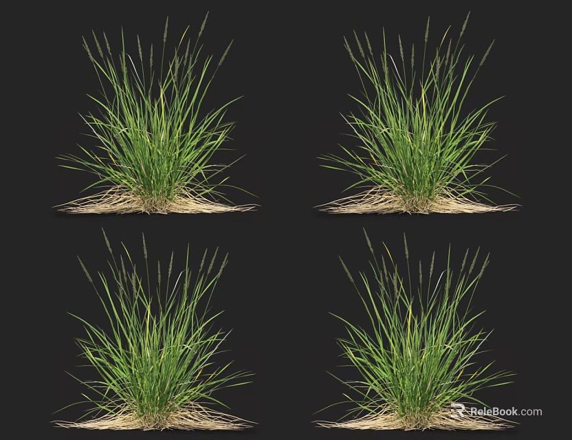 Lush Green Grass Clumps With Dried Root Base On Black Background 3d model 