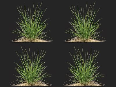 Lush Green Grass Clumps With Dried Root Base On Black Background 3d model