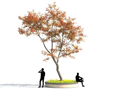 Orange Red Leaf Shrub In Circular Planter With People Standing And Sitting 3d model