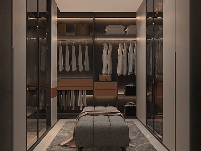 Modern cloakroom basement AV room model