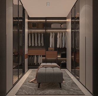 Modern cloakroom basement AV room 3d model