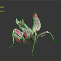 Vibrant Pink Mantis Game Movie Character With Intricate Patterns And 3D Render Design 3d model