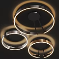 Modern Circular Ceiling Lights With Sleek Metallic Ring Design And Black Center 3d model