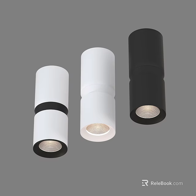Modern Cylindrical Downlights and Spotlights with White and Black Design LED Lighting Fixtures 3d model 