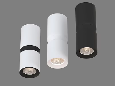 Modern Cylindrical Downlights and Spotlights with White and Black Design LED Lighting Fixtures 3d model