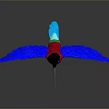 Colorful Bird with Red Body Blue Wings and Black Head on Gray Background