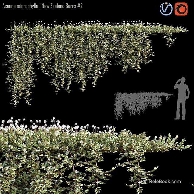 Ornament Decoration Combination With Hanging Green Vines And Small Plants For Home Decor 3d model 