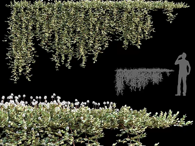 Ornament Decoration Combination With Hanging Green Vines And Small Plants For Home Decor 3d model