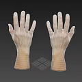 Realistic Human Hands Anatomical 3D Rendering With Natural Pose And Skin Texture 3d model
