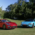 Two Colorful Cars Parked On Grass Near Trees
