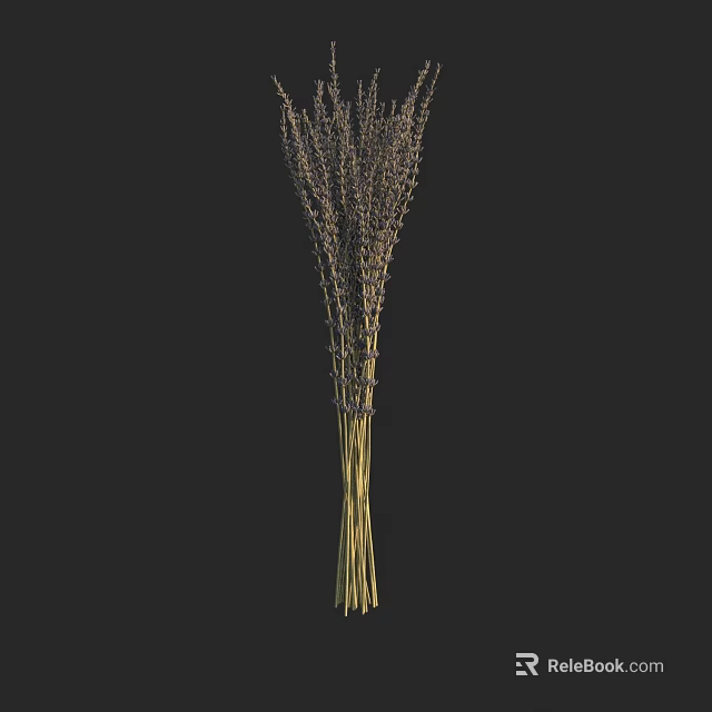 Beautiful Natural Dried Purple Lavender Bouquet With Long Stems For Home Decoration 3d model 