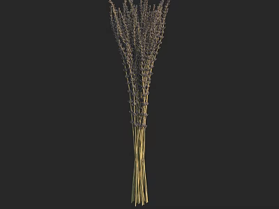 Beautiful Natural Dried Purple Lavender Bouquet With Long Stems For Home Decoration 3d model