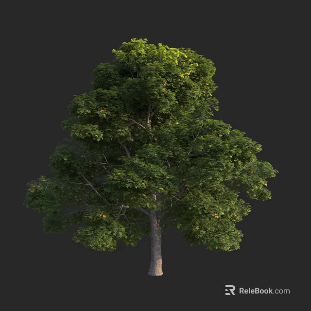 Lush Green Arbor With Dense Foliage And Tall Straight Trunk 3d model 