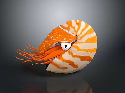Vibrant Orange and White Striped Nautilus Aquatic Animal with Tentacles and Eye on Dark Background 3d model