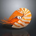 Vibrant Orange and White Striped Nautilus Aquatic Animal with Tentacles and Eye on Dark Background