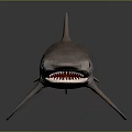 Striped Gray Shark Model Displayed on Dark Background with Reflection 3d model
