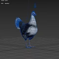 Black and White Feathered Chicken with Red Comb and Orange Feet on Gray Background