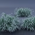 Lush Green Bushes Covered With Snow In Three Groups On Gray Background