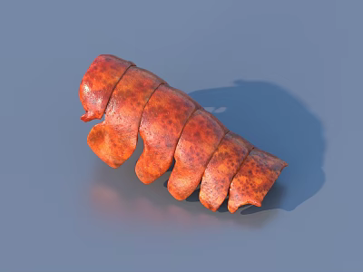 Cooked Lobster Tail With Orange Red Shell And Segmented Structure On Gray Background 3d model