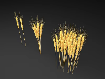 Bunches Of Golden Wheat Stalks On Black Background For Decoration 3d model