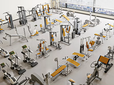Variety of Sports Equipment in Indoor Gym Featuring Fitness Machines Dumbbells and Weight Benches 3d model