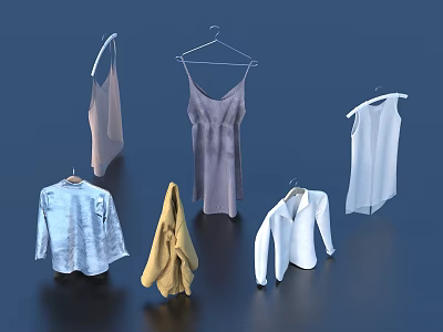 Stylish Casual Clothes Collection Hanging On Hangers Including Dresses Shirts And Vest 3d model