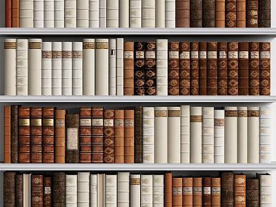 Books with Different Colored Spines Neatly Arranged on Shelves 3d model
