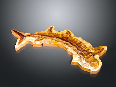 Golden Fish Organ Model with Hair Like Texture and Detailed Structure 3d model