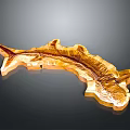 Golden Fish Organ Model with Hair Like Texture and Detailed Structure