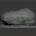 Natural Wood And Stone Material Decorative Rock With Gravel Moss Base