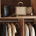 Modern Wooden Wardrobe Interior With Hanging Clothes Drawers And Shoe Storage